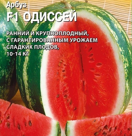 Арбуз Одиссей F1 50 шт. (Саката) Арбуз Одиссей F1 50 шт. (Саката)