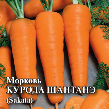 Морковь Курода Шантанэ 25,0 г Морковь Курода Шантанэ 25,0 г