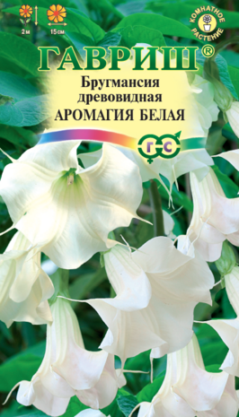 Бругмансия Аромагия белая  3 шт. Н14