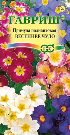 Примула многоцветковая (первоцвет) Весеннее чудо , полиантовая* 0,05 г Н14 Примула многоцветковая (первоцвет) Весеннее чудо , полиантовая* 0,05 г Н14