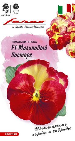 Виола Малиновый восторг F1 Виттрока (Анютины глазки)*  5 шт,  Италия Н14