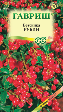 Брусника Рубин