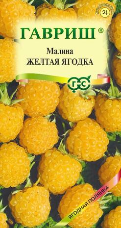 Малина Желтая ягодка 10 шт. Н13