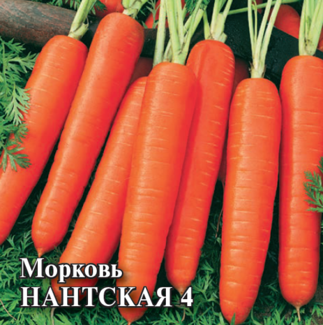 Морковь Нантская 4  100 г