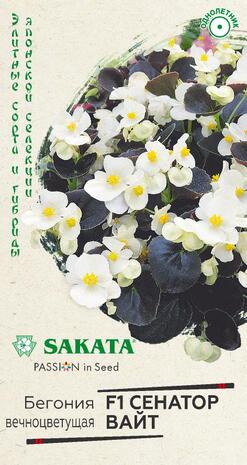 Бегония Сенатор Вайт F1 вечноцв. 4 шт. пробирка сер. Элитная клумба Н15
