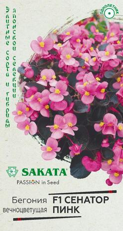 Бегония Сенатор Пинк F1 вечноцв. 4 шт. пробирка сер. Элитная клумба  Н15