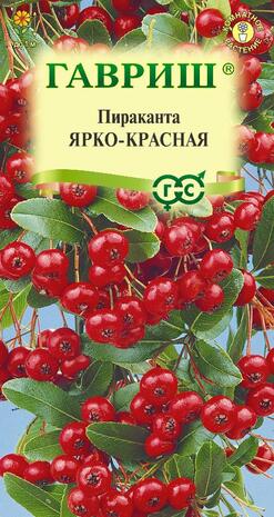 Пираканта Ярко-красная 5 шт.  Н15