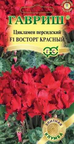 Цикламен персидский Восторг красный F1, 3шт Элитная клумба