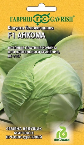 Капуста белокоч. Анкома РЗ F1 10 шт. для хранения (Голландия)