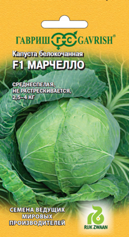 Капуста белокоч. Марчелло F1 10 шт. для квашения (Голландия) Н16