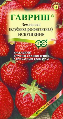Земляника (Клубника) ампельная Искушение пробирка 10 шт.