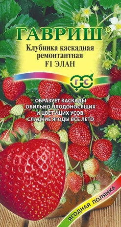 Земляника (Клубника) Элан F1 пробирка 5 шт. Земляника (Клубника) Элан F1 пробирка 5 шт.