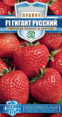 Земляника (Клубника) Гигант русский 1 пробирка 5 шт. сер. Русский богатырь 