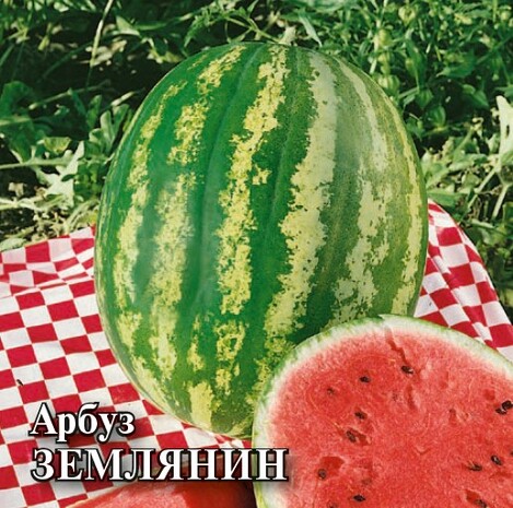 Арбуз Землянин 50,0 г
