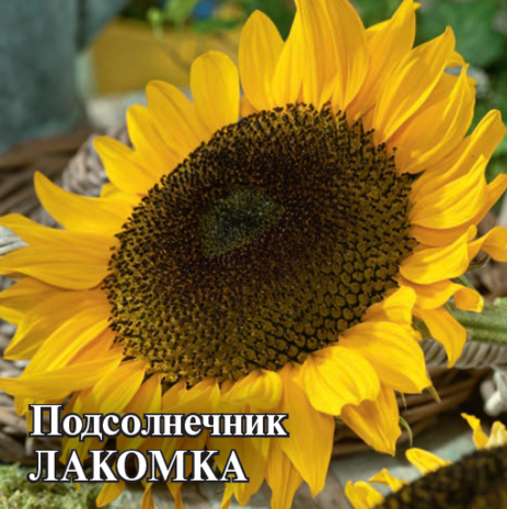 Подсолнечник Лакомка 100 г