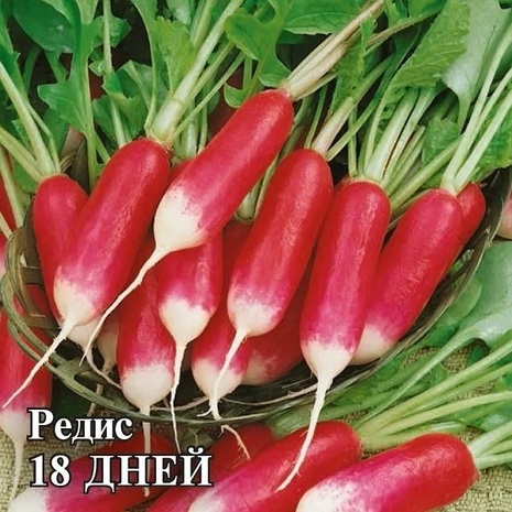 Редис 18 дней 100,0 г Редис 18 дней 100,0 г