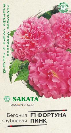 Бегония Фортуна Пинк F1 гранул. 4 шт. пробирка Саката серия Эксклюзив