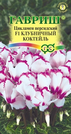 Цикламен персидский Клубничный коктейль F1, 3шт