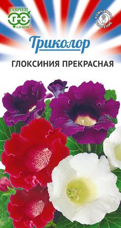 Глоксиния прекрасная смесь серия Триколор 9 шт. Глоксиния прекрасная смесь серия Триколор 9 шт.