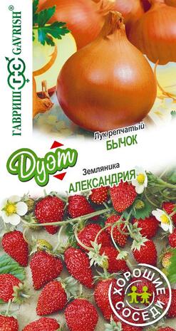 Лук репч. Бычок 0,5 г+Земляника Александрия 0,03 г  серия Дуэт Хорошие соседи Н18