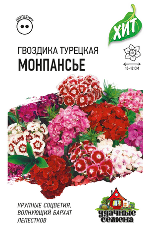 Гвоздика турецкая Монпансье, смесь 0,1 г ХИТ х3