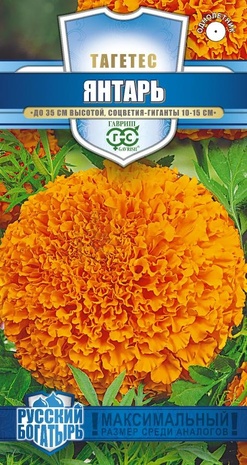 Тагетес (Бархатцы пр.) Янтарь (30 см) 0,1 г серия Русский богатырь Н18