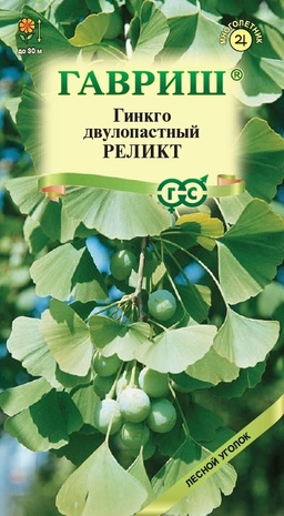 Гинкго двулопастный РЕЛИКТ 2 шт