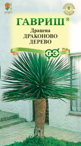 Драцена Драконово Дерево 3 шт.
