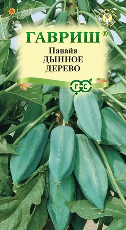 Папайя Дынное дерево 3 шт.