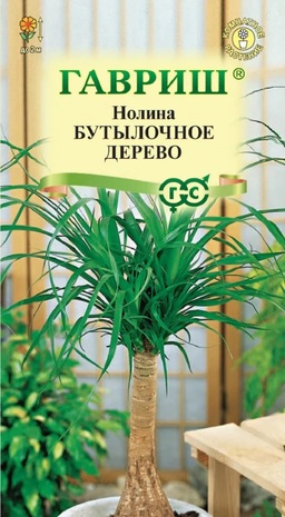 Нолина Бутылочное дерево*  3 шт. Нолина Бутылочное дерево*  3 шт.