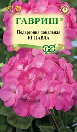 Пеларгония Павла F1зональная * 4 шт.