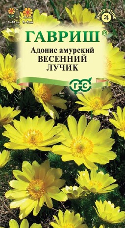 Адонис амурский (горицвет) Весенний лучик 0,05 г Н19 Адонис амурский (горицвет) Весенний лучик 0,05 г Н19
