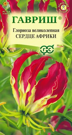 Глориоза великолепная Сердце Африки*  3 шт. Н11