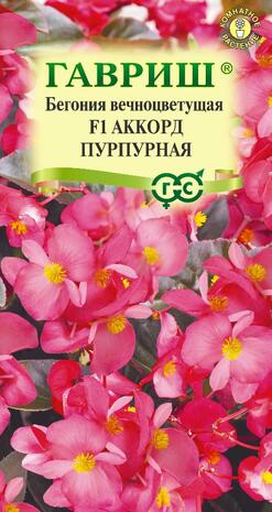 Бегония Аккорд Пурпурная F1 вечноцв. гранул. 4 шт. пробирка 