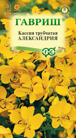 Кассия Александрия, трубчатая 3 шт. Кассия Александрия, трубчатая 3 шт.