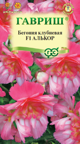 Бегония Алькор F1 амп. гранул. 4 шт.пробирка