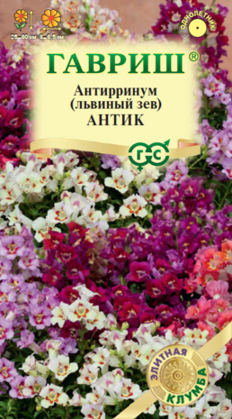Антирринум (Львиный зев) Антик 7 шт. серия Элитная клумба Н23