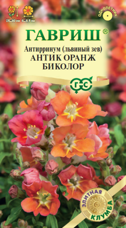 Антирринум (Львиный зев) Антик Оранж биколор 7 шт.  серия Элитная клумба Н23