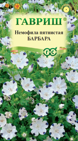 Немофила Барбара пятнистая  0,3 г