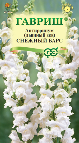 Антирринум (Львиный зев) Снежный барс 0,05 г Н22
