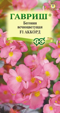 Бегония Аккорд F1 вечноцв. гранул. 4 шт. пробирка 