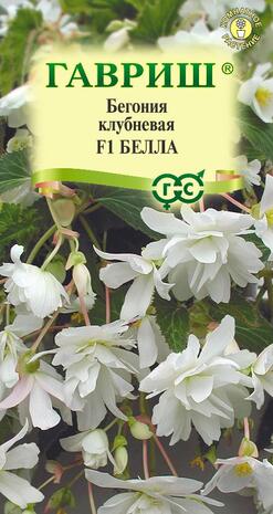 Бегония Белла F1 клубневая, амп. гранул. 4 шт. пробирка