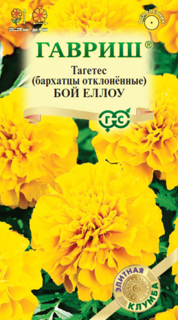 Тагетес (Бархатцы откл.) Бой Еллоу 0,02 г серия Элитная клумба DH