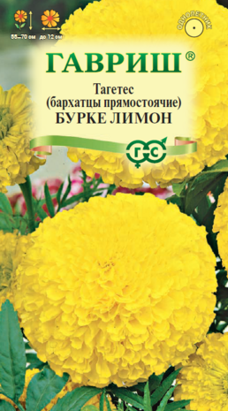 Тагетес (Бархатцы пр.) Бурке Лимон 0,3 г Н14 Тагетес (Бархатцы пр.) Бурке Лимон 0,3 г Н14