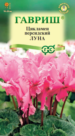 Цикламен персидский Луна, 3шт Цикламен персидский Луна, 3шт
