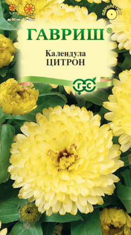 Календула Цитрон 0,3 г Н23 DH