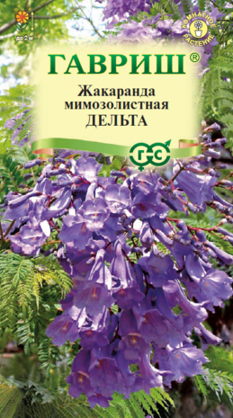 Жакаранда Дельта*  3 шт.