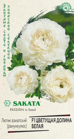 Лютик азиатский (Ранункулюс) Цветущая долина белая F1 3 шт. пробирка, Саката серия Эксклюзив