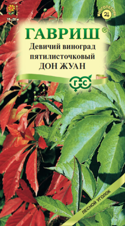  Девичий виноград пятилисточковый Дон Жуан 5 шт.