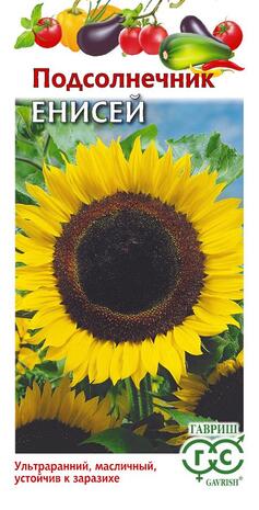 Подсолнечник Енисей 10 г Подсолнечник Енисей 10 г